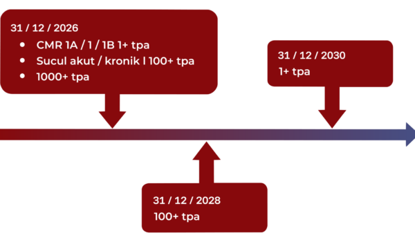 KKDIK zaman çizelgesi